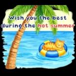 暑中見舞い♡夏のご挨拶♡候文