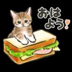 毎日ごろごろ☆猫たちのスタンプ