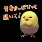 黄身かっぽじって 121