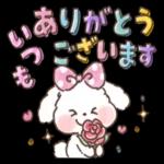 可愛いウサギ🐰からのメッセージ