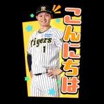 阪神タイガース