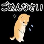ゆっくり休んでください🥰