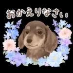 大人かわいい♡いぬと花のスタンプ