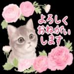 かわいらしい小さな花だ