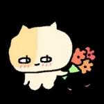 말수가 적은 고양이