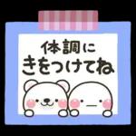 毎年使える♡夏の海の生きものスタンプ