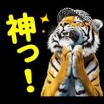 大阪神戸の野球好き虎ファン向け2