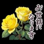 毎日使える お花 敬語✿大人上品お花