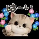 ねこちぃず♡夏スタンプ