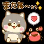 いつでも
いいよ♪