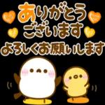 飛び出す♪もっちりヒヨコ兄弟夏