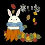 今日は寒いですね！！