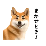 🧡あなたのタイプ、わかりました。