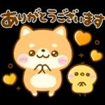 一緒に	遊ぼよ🥰🥰🥰