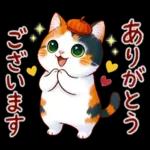 三毛猫のつめあわせ【秋】