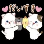 猫と仲間達♡日常。～
