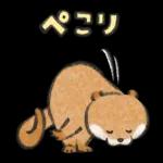 可愛い嘘のカワウソ