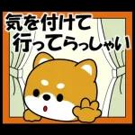 大事なお知らせがありまーす♪