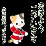 かわいい猫😺が来ますよ！