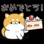 お返事シバイヌくん(ポジティブ)