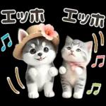 夏 猛暑 酷暑♡シベリアンハスキーとネコ