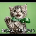 ENFPにゃんこスタンプ