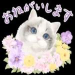 かわいらしい小さな花だ