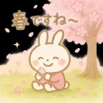 ✨白うさぎさん🐰 2