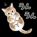 毎日ごろごろ☆猫たちのスタンプ