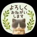 【３D】ネコ・秋　バラエティパック