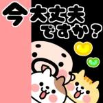 おやじ君と猫の挨拶【飛びだす！】