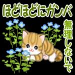 ころころ子猫 春の野原でかくれんぼ