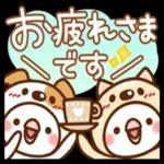 毎日しろちゃん16♥ゆる敬語_-