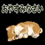 おやすみなさい