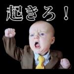 煽り性能MAXの赤ちゃん３【面白かわいい】