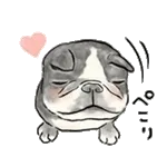 【動く】毎日使えるフレンチブルドッグ