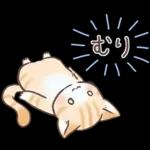 スナネコのサシャ 2