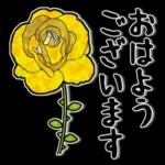 敬語・丁寧語❤️お花