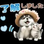 夏 猛暑 酷暑♡シベリアンハスキーとネコ