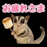 フクロモモンガ❤実りの秋は大豊作