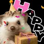 感情丸出しスタンプ