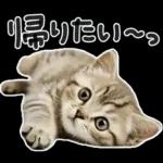 やる気ゼロ♡にゃんこ