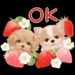 大人かわいい♡いぬと花のスタンプ