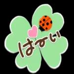 ダブルの幸運です❤️よつ葉＆てんとう虫