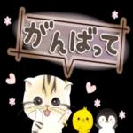 びニャンず♡デカ文字・withちびペンぴよ