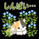 ころころ子猫 春の野原でかくれんぼ