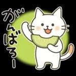 猫ちゃんとスイーツと夏