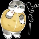 今日は猫カレーの日3
