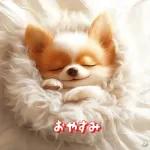 子犬の幸せな日常