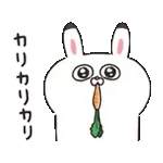 ねこちゃんとうさちゃんだもの